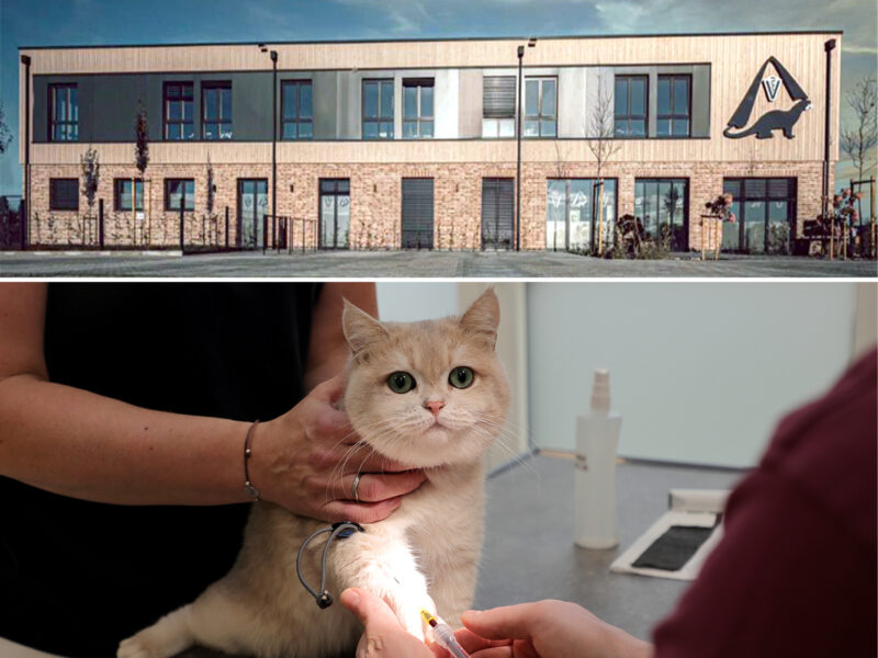 Tiermedizinische/r Fachangestellte/r (m/w/d)