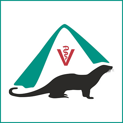 Tiermedizinische/r Fachangestellte/r (m/w/d)