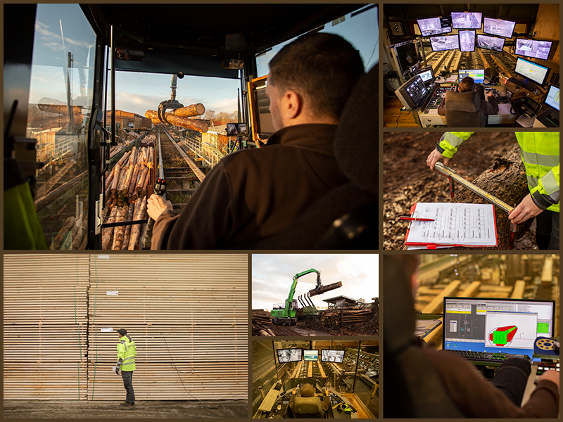 Holzbearbeitungsmechaniker/in (m/w/d)